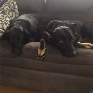 Meet your Posher, Terry